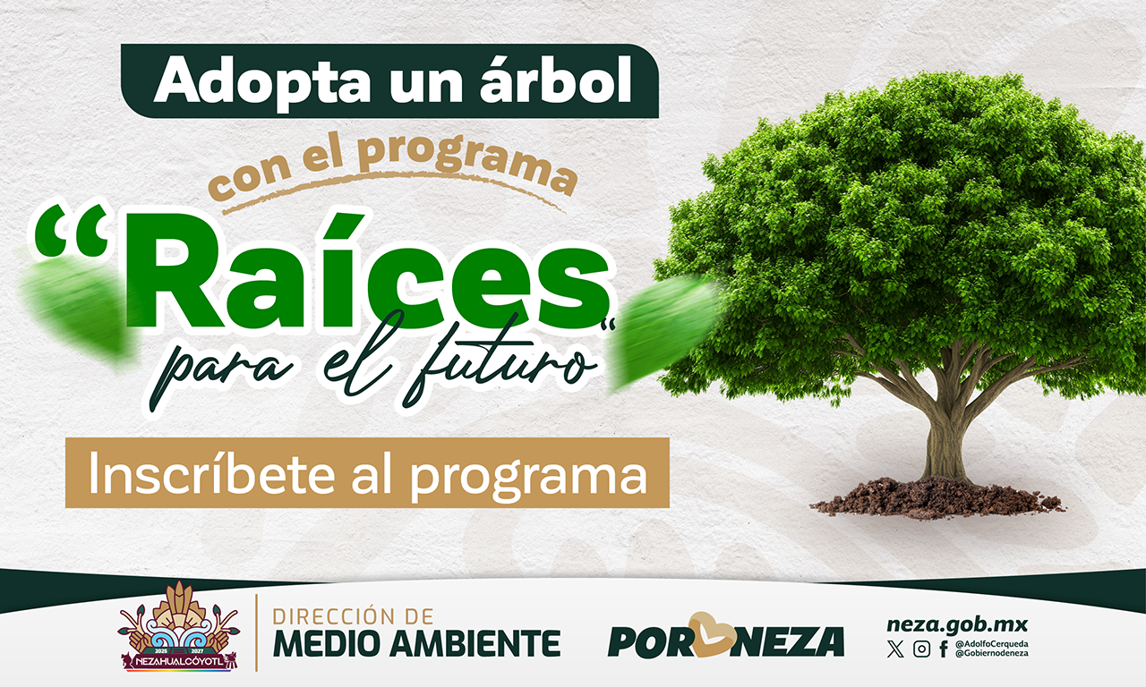 Convocatoria