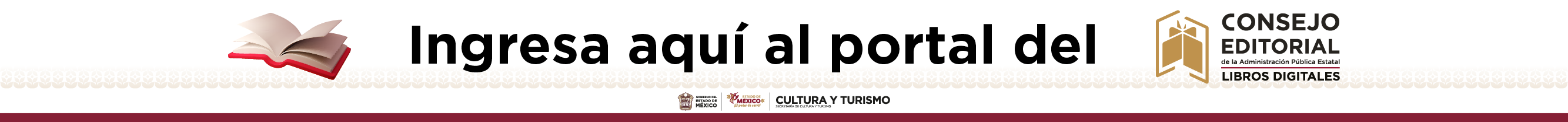 CONSEJO EDIT